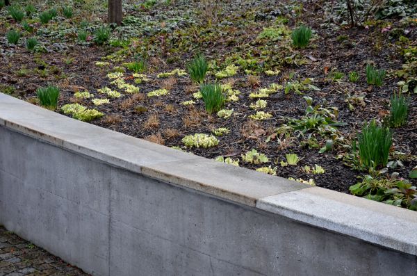 Concrete Wall Construction in Freehold