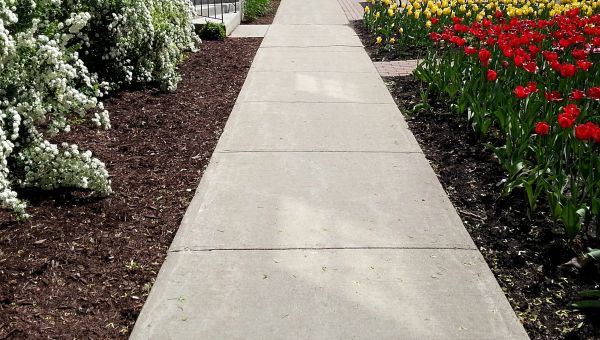 Cement Sidewalk Installation in Freehold