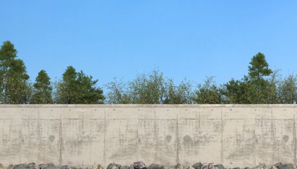 Privacy Wall Construction in Freehold