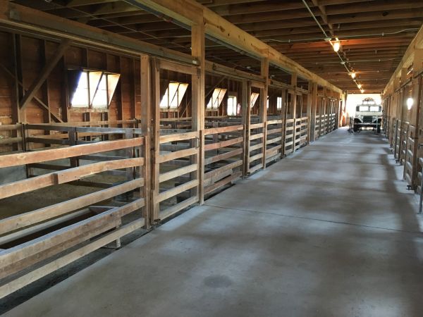 Barn Slab Construction in Freehold