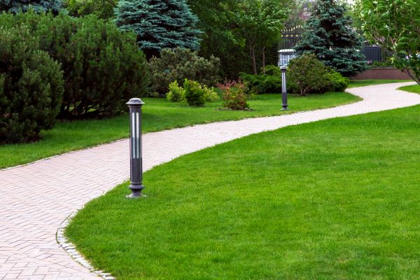 Backyard Sidewalk Installation in Freehold