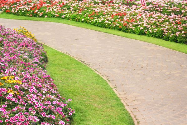Concrete Walkway Service in Freehold